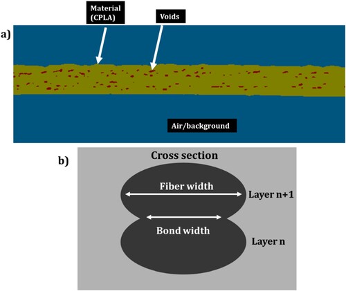 Figure 3. (a) User painted slice showcasing the three different features used to calculate porosity (void percentage) from X-Ray CT scans and (b) graphical representation of the bonding between two consecutive extruded layers.