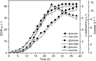Figure 3. Effect of different feeding carbon sources on L-isoleucine fed-batch fermentation by E. coli TRFP.