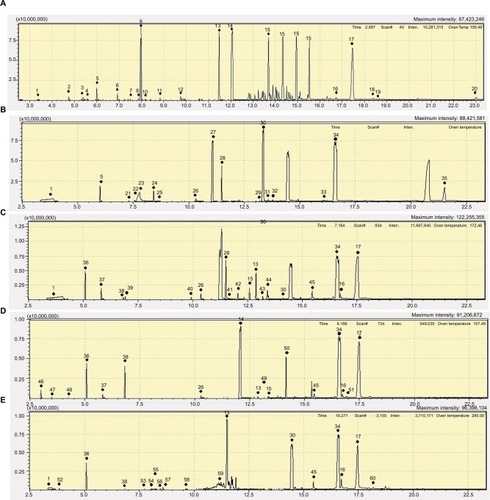 Figure 2 GC–MS chromatograms of the original sunscreen products.