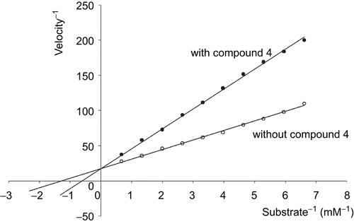 Figure 1.  Lineweaver–Burk analysis of compound 4 inhibition of urokinase was performed in amidolytic assays with S-2444 as described in “Enzymatic investigations.” S-2444 substrate concentration was 3 mM. Compound 4 concentration was 2 mM. Data represent the means of triplicate determinations.