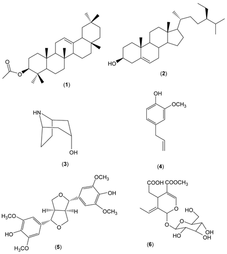 Figure 1.  Chemical structures of compounds 1–6 isolated from Syringa patula.