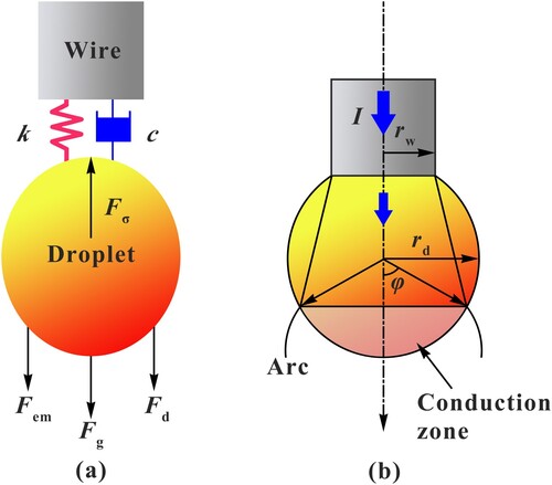 Figure 2. Schematic diagram of (a) forces on the pendant droplet and (b) the current path in the droplet.