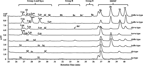 Fig. 3. Saponin composition in cotyledons of eight common saponin phenotypes of wild soybean by LC–PDA/MS/MS. Saponin components were monitored by a PDA detector at UV 205 nm.