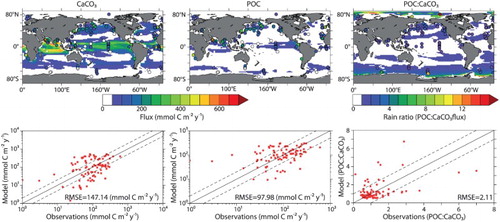 Fig. 11 Model average CaCO3 (upper left panel) and POC (upper middle panel) export and average POC:CaCO3 rain ratio (upper right panel) at 2 m depth overlaid by trap data from Honjo et al. (Citation2008). Regressions between modelled and observed values can be seen in bottom panels.