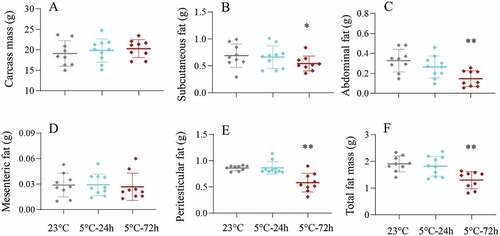 Figure 4. Mass of carcass (a), subcutaneous fat (b), abdominal fat (c), mesenteric fat (d), peritesticular fat (e) and total body fat (f), in striped hamsters subjected to repeated cold (5°C) and warm (23°C) temperature cycles. 23 oC, animals maintained at room temperature (23°C) throughout the experiment. Cold-24 h and Cold-72 h, animals exposed to 6 cold and warm temperature cycles (24 h at 5°C followed by 6 days at 23°C, and 72 h at 5°C followed by 4 days at 23°C) from the 2nd to 7th week of the experiment. Data are means ± SD with individual data points; *P < 0.05, **P < 0.01.