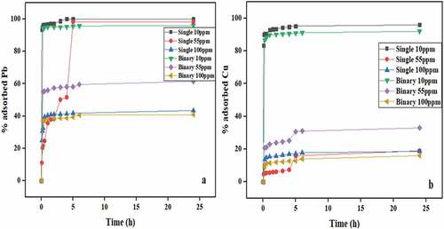 Figure 5. Percentage removal of (a) Pb(II) and (b) Cu(II) onto banana peels at different initial concentrations and pH 5.5 in both single and binary systems