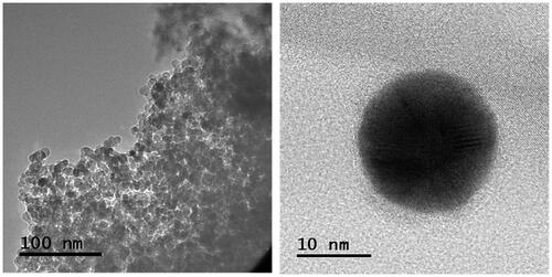 Figure 3. TEM image of the core (size: 13–18 nm) and HRTEM image of single nanoparticle Mf. HRTEM: high resolution transmission electron microscopy; Mf: manganese ferrite.