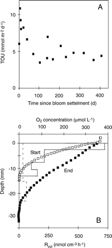 Figure 22.  (A) Consecutive measurements of TOU measured in four cores recovered from Young Sound (NE Greenland) at 36 m water depth just after the summer bloom had settled. After the labile organic material was consumed the O2 uptake remained at 5–6 mmol m−2 day−1 for >400 days without addition of any organic carbon. (B) Microprofiles measured just after core recovery and after 400 days in the laboratory. This reflects the gradual downward migration of O2 as Rvol declines along with the pool of organic carbon and reduced inorganic materials (redrawn from Thamdrup et al. Citation2007).