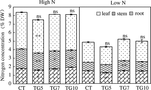 Figure 6. Nitrogen concentration of control (CT) and transgenic (TG5, TG7 and TG10) lines under high and low N conditions at the seedling stage. Data represent the mean values ± SD (n = 4). Statistical analysis of the data was performed by one-way ANOVA. Asterisks indicate that the mean values of TG5, TG7 and TG10 lines are significantly different from that of CT at p < 0.05 (*) and p < 0.01 (**). The letters ‘ns’ indicate not significantly different from CT at p < 0.05.