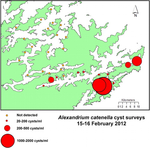 Figure 10 Distribution of A. catenella cysts in the surface sediments (0–1 cm) of Pelorus and Queen Charlotte sounds.