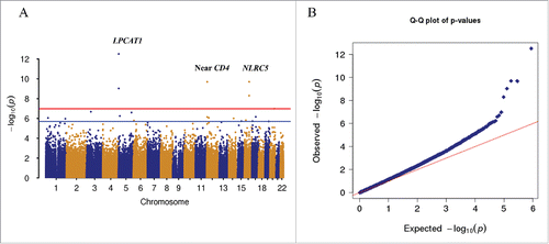 Figure 2. Epigenome-wide association analysis of 437,722 CpG sites in 378 samples. A. Manhattan plot showing chromosome location of 22 autosomes (X-axis) and –log10(P-value) for each CpG (Y-axis). Blue line indicates the threshold for significance (FDR q < 0.05). Red line indicates the significance level after Bonferroni correction (Padj < 0.05). Two CpG sites in the promoter of NLRC5 on chromosome 16 reached epigenome-wide significance (cg07839457: P = 4.96E-09; cg16411857: P = 2.01E-10). B. Quantile-quantile plot showing observed vs. expected –log10(P-value) for association at all CpG sites (λ = 1.17). A regression model was applied for EWAS, adjusted for batch, cell types, and other clinical confounding factors.