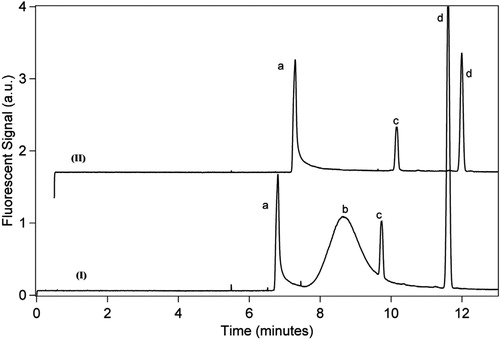 Figure 7. Separation of selected dyes showing the degradation of purpurin: (a) 5.0 µg/mL Ali, (b) 10 µg/mL Pur, (c) 10 µg/mL CA, (d) 0.5 μg/mL morin; 18 kV, 20 mM borate buffer + 20 mM SDS, pH 9.24. (I) fresh solution, (II) same solution after 1 h.[Citation47]