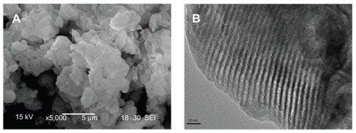 Figure 1 SEM (A) and TEM (B) images of nanoporous bioglass containing silver, with 0.02 wt% Ag content.Abbreviations: Ag, silver; SEM, scanning electron microscopy; TEM, transmission electron microscopy.