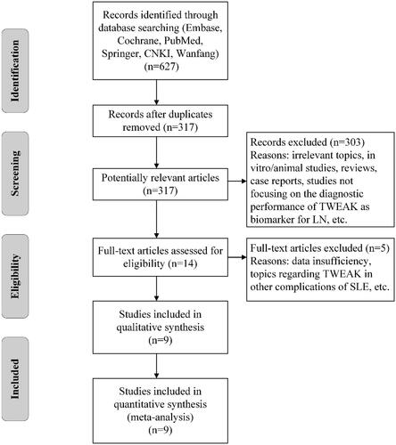 Figure 1. Flowchart of paper selection. TWEAK: tumor necrosis factor (TNF)-like weak inducer of apoptosis; LN: lupus nephritis; SLE: systemic lupus erythematosus.