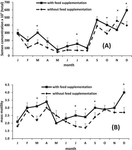 Figure 2. Effect of feed supplementation on semen concentration (A) and mass motility (B) in Saint Croix hair rams grazed on buffel grass throughout 1 year (Means ± SEM). *P < 0.05.