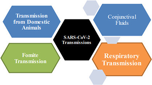 Figure 2 Various SARS-CoV-2 transmission mechanisms.