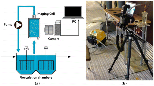 Figure 1. (a) Schematic representation of the installation and (b) a photograph from the Frogn WWTP.
