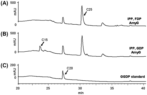 Fig. 2. HPLC profiles of AmyG reaction products.Note: (A) with IPP and FDP; (B) with IPP and GDP; C, GGDP standard.