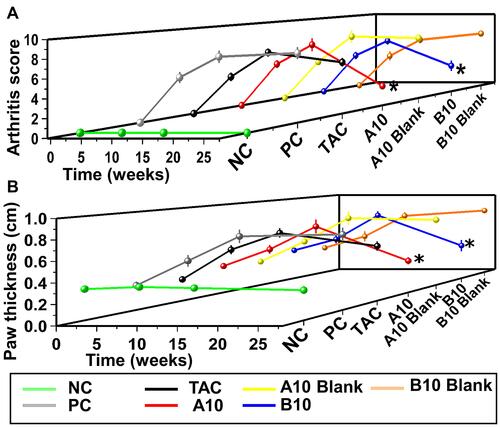 Figure 7 Assessment of AIA model (II): (A) Clinical arthritis score (mean ± SEM) [* significantly decreased after treatment, P≤ 0.05] and (B) paw thickness (mean ± SEM) [* significantly decreased after treatment, P≤ 0.05].