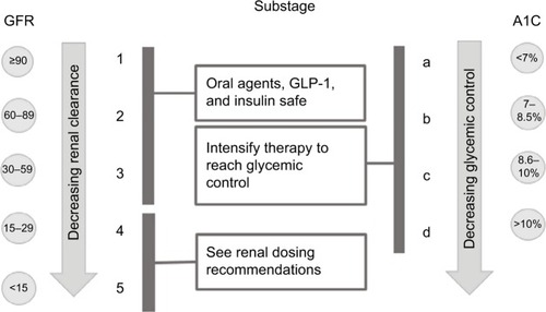 Figure 4 Diabetes Staging System substage based interventions.