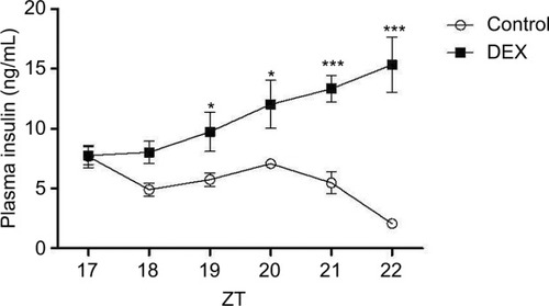 Figure 2 Plasma insulin profile in control rats (white bar) and rats treated with dexamethasone (black bars).