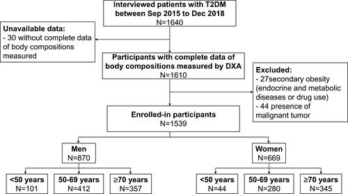 Figure 1 Flow chart of study population in the study.Abbreviations: T2DM, type 2 diabetes mellitus; Sep, September; Dec, December; DXA, dual-energy X-ray absorptiometry.