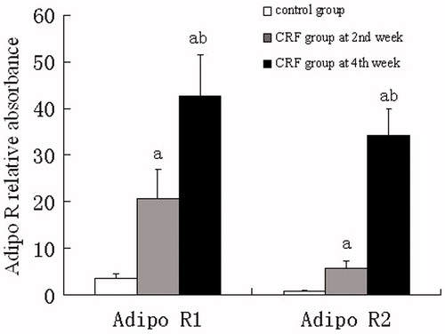 Figure 4. Changes of Adipo R1 and Adipo R2 mRNA expressions in renal tissues from the two groups.