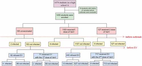 Figure 1. Varicella vaccination status, cases, and EV status among students during a varicella outbreak in Shanghai, 2020.