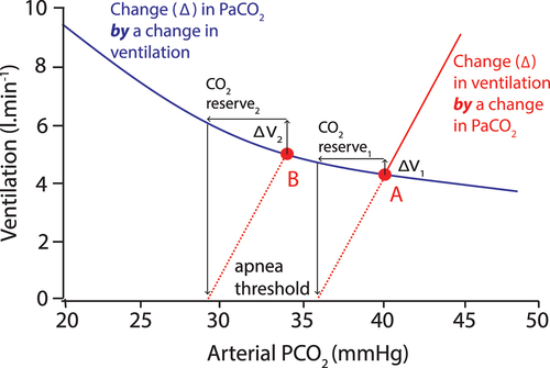 Figure 2. Schematic representation of how carbonic anhydrase inhibitors can exert positive effects on breathing stability through a net decrease in ‘loop gain’ via a decreased ‘plant gain.’ At eupnea the equilibrium point for resting breathing (A) exists at the intersection of the ventilatory response to increased arterial PCO2 (red line, i.e. ‘controller gain’) and the change in arterial PCO2 that results from a change in ventilation (i.e. the metabolic hyperbola; blue line). Any transient increase in ventilation (ΔV1, increase indicated by the upward black arrow, e.g. caused by a transient arousal from sleep) will reduce arterial PCO2 (magnitude of decrease indicated by the leftward black arrow) and elicit an apnea if the resultant hypocapnia reaches the ‘apnea threshold’ as extrapolated from ventilatory response to CO2 (dashed red line intersecting with the downward black arrow). The ‘CO2 reserve’ is the magnitude of change in arterial PCO2 required to reach the apnea threshold. Breathing in sleep is more stable and resilient to transient perturbations in ventilation with a larger CO2 reserve. In response to carbonic anhydrase inhibition there is a leftward shift on ventilation to a new equilibrium point for resting breathing (B) on a steeper region of the metabolic hyperbola. At this position, a larger increase in ventilation (ΔV2) is needed to deplete the CO2 reserve and reach the apnea threshold: i.e. CO2 reserve2 (i.e. after carbonic anhydrase inhibition) is greater than CO2 reserve1. Figure adapted and modified from Schmickl et al. [Citation45], under CC-BY.
