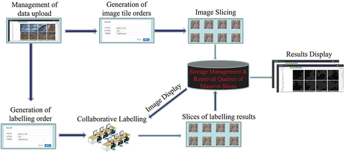 Figure 6. Technical flow diagram of automatic/semi-automatic combined labeling.