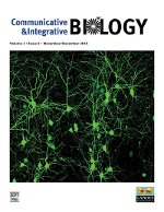 Cover image for Communicative & Integrative Biology, Volume 3, Issue 6, 2010