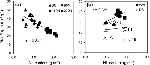 Figure 5. The correlation between leaf nitrogen content and photosynthetic nitrogen use efficiency at 60 DAT (a); and at 120 DAT (b) under well-watered (closed shape) and drought stress (opened shape) conditions.
