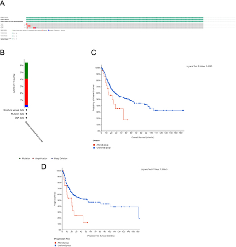 Figure 5 The genetic alterations of PLOD1/2/3 in BLCA (A). Alteration frequency of PLOD1/2/3 according to the cBioPortal database (B). Kaplan-Meier plots and Log rank tests revealed OS and PFS of BLCA patients with or without PLOD1/2/3 alterations (C and D).