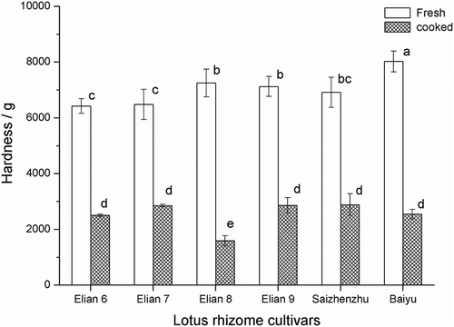 Figure 2. Hardness of the cooked lotus rhizome of different cultivars in April of 2015. Different lowercase letters indicated the significant difference of hardness of fresh and cooked lotus rhizome (P < 0.05).