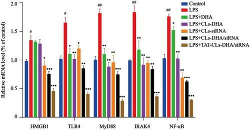 Figure 9 qRT-PCR quantitative analysis of the expression of HMGB1, TLR4, MyD88, IRAK4 and NF-кB in RAW264.7 cells in mRNA level. Data represent mean ± SD (n >5). ***p < 0.001, **p < 0.01, *p < 0.05 compared to LPS group. ##p < 0.01, #p < 0.05 compared to control group.