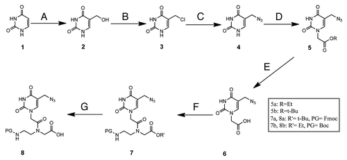 Figure 1. Synthesis of the modified monomer. (A) CH2O, Et3N in H2O, 81%; (B) HCl 37%, 80%; (C) NaN3 in DMF, 90%; (D) (1) BrCH2COOEt, K2CO3 in DMF, 41% (2) BrCH2COOtBu, K2CO3 in DMF, 49%; (E) (1) NaOH in H2O/MeOH 1:1 then HCl, 96% (2) TFA in DCM, 70%; (F) (1) EDC∙HCl, DhBtOH, DIPEA, tert-butyl 2-[(2-Fmoc-aminoethyl)amino]acetate hydrochloride in DMF, 96% (2) DCC, DhBtOH, DIPEA, ethyl 2-[(2-Fmoc-aminoethyl)amino]acetate in DMF, 77%; (G) (1) TFA in DCM, 86% (2) NaOH in H2O/MeOH 1:1, 96%.