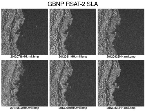 Figure 2. Sub-scene of Radarsat-2 SLA25 image of GBINP.