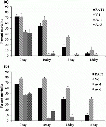 Figure 1.  Effect of chicken embryo age on susceptibility to virulent and avirulent strains of R. anatipestifer following inoculation into the AC (n = 10). The mean mortality rate of embryos represents results from five assays. Error bars represent the standard error. 1a: a dose of 102 CFU was inoculated in 7-day-old, 10-day-old, 13-day-old, and 15-day-old chicken embryos. 1b: a dose of 103 CFU was inoculated in 7-day-old, 10-day-old, 13-day-old, and 15-day-old chicken embryos.