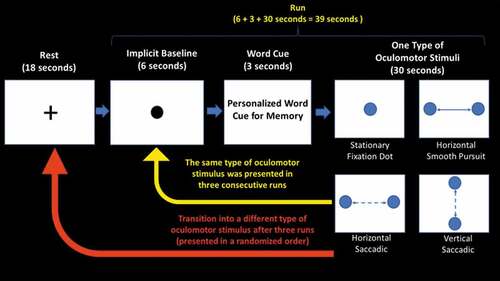 Figure 2. Experimental paradigm. All participants were asked to retrieve both neutral and traumatic autobiographical memories via a personalized word cue associated with each memory, while following a moving dot to guide eye movements across the screen. In total, there were three conditions, each lasting 13 minutes, conducted in the following order: no memory retrieval, neutral memory retrieval, and traumatic memory retrieval. Each condition consisted of 12 runs, separated into four blocks to present each type of oculomotor stimulus in three consecutive runs (stationary fixation dot, a horizontal smooth pursuit, a horizontal saccadic pursuit, and a vertical saccadic pursuit). Each run lasted (6 + 3 + 30) 39 seconds, where a black central stationary dot was displayed for 6 seconds to obtain an implicit baseline measure, after which participants were instructed to retrieve autobiographical memories while reading a single personalized word cue displayed on the screen for 3 seconds (replaced with a ‘+’ symbol in the no memory retrieval condition). Immediately afterwards, participants were asked to continue retrieving the memory while 30 seconds of one type of oculomotor stimulus was presented using coloured circles to guide eye movements across the screen. After three consecutive runs using the same type of oculomotor stimulus, participants were asked to rate the severity of post-traumatic stress disorder (PTSD) symptoms they experienced during memory retrieval with the specific adjunctive oculomotor stimulus, including emotional intensity, numbing, dissociation, re-experiencing, and vividness of memory. Afterwards, an 18-second rest interval using a black stationary fixation ‘+’ led to a transition into a new type of oculomotion. This process was repeated four times to evaluate the effects of each type of oculomotor stimulus.