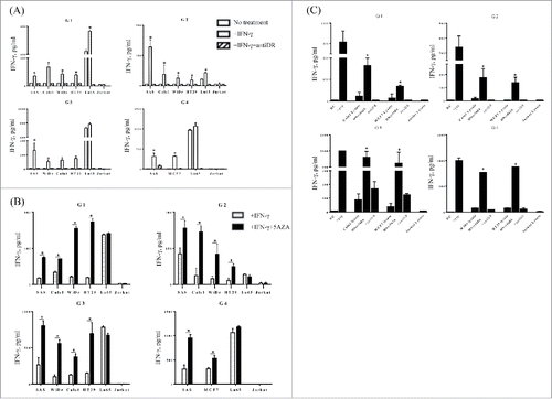 Figure 4. HLA-G26–40-specific CD4+ T cell clones directly react with tumor cells. (A) Several tumor cell lines were tested for their ability to be recognized by the HLA-G26–40-specific CD4+ T cell clones and these responses were suppressed by anti-HLA-DR mAb (*p < 0.05, one-way ANOVA with the Holm post-hoc test compared among the same tumor cell lines). (B) The HLA-G26–40-specific CD4+ T cell responses to tumor cells were enhanced by the upregulation of HLA-G molecules after treatment with 5-AZA (*p < 0.05, Student's t test). (C) The HLA-G26–40-specific CD4+ T cells reacted with naturally processed exogenous antigens presented by autologous DCs. Supernatants were collected after 48 h of incubation and analyzed by ELISA for IFNγ production (*p < 0.05, one-way ANOVA with the Holm post-hoc test compared among the same tumor cell lysate used). Bars and error bars indicate the mean and SD, respectively. Experiments were performed in duplicate.