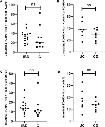 Figure 5 Circulating and intestinal Nrp-1+ Tregs in patients with inflammatory bowel disease. (A) Comparison of circulating Nrp-1+ Tregs between the studied and the control group. (B) Comparison of circulating Nrp-1+ Tregs between UC and CD patients. (C) Comparison of intestinal Nrp-1+ Tregs between the studied and the control group. (D) Comparison of intestinal Nrp-1+ Tregs between UC and CD patients. Individual results are shown as dots (●)/squares (■). Horizontal lines indicate median values. Neuropilin-1+ Tregs are expressed as the percentage of all Tregs.Abbreviations: IBD, patients with inflammatory bowel disease; C, control group; UC, patients with ulcerative colitis; CD, patients with Crohn’s disease; ns, not significant.