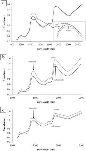 FIGURE 5 Variation with respect to maturation stages of mean spectra using near-infrared spectroscopy of: (a) pulp; (b) rind; and (c) stem.