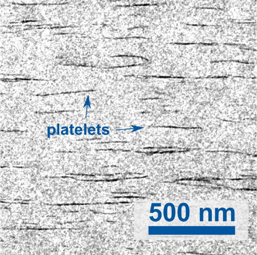Figure 1. Transmission electron microscopy image from the cross-section of a nanocomposite of CNF matrix with a volume fraction of 10% MTM platelets (Image by Dr. Ogawa, CERMAV, Grenoble).