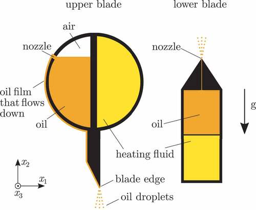 Figure 3. Cross section of the oiling blades.