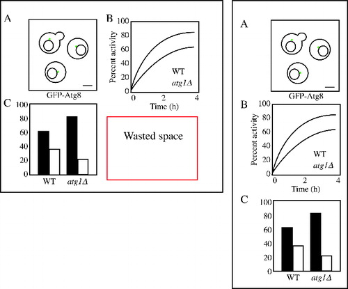 Figure 9. Geometry. Some consideration of the geometry of the panel placement can reduce wasted space and also make the figure more aesthetically appealing.