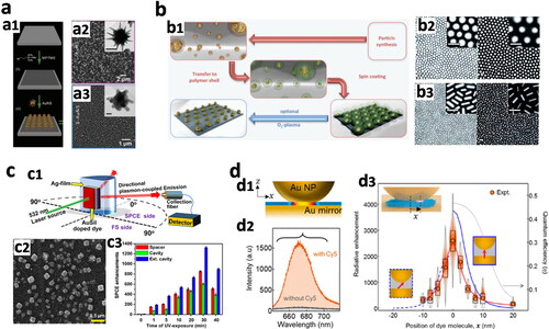 Figure 5. (a) Thiol–Au binding of AuNPs. (a1) Schematic of Au nanostars bound to thiol-modified glass slides. Corresponding (a2) SEM images of adsorbed small (∼50 nm) and (a3) large (215 nm) Au nanostars (insert: TEM of individual nanostars) (Theodorou et al., Citation2019). (b) Spin-coating of AuNPs. (b1) Schematic showing AuNPs functionalized with a dense polystyrene shell, followed by spin-coating onto a substrate and oxygen plasma etching of the polystyrene shell. (b2) SEM images of Au nanospheres and (b3) Au nanorods with shorter (left) and larger (right) polystyrene chains (Ullrich et al., Citation2013). (c) Surface plasmon-coupled emission (SPCE) sensor with spin-coated AuNPs. (c1) Schematic of the SPCE sensing platform. (Bhaskar, Kowshik, et al., Citation2020). (c2) SEM image of heterometallic AgAu nanocubes. (c3) Fluorescent enhancement values obtained for different nanointerface designs (Bhaskar et al., Citation2022). (d) Nanoparticle-on-mirror (NPoM) nanocavities. (d1) Schematic showing the high optical field confinement in the gap (yellow) and (d2) fluorescence emission with and without the Cy5 dye incorporated into the nanocavity. (d3) Purcell enhancement results relative to the position of Cy5 from the center of the gap, experimental emission (orange points) and theoretically calculated emission for vertical (90°) dipole (solid blue) and tilted (45°) dipole (dashed blue). Calculated quantum efficiency for vertical dipole (dashed gray line) (Chikkaraddy et al., Citation2018).