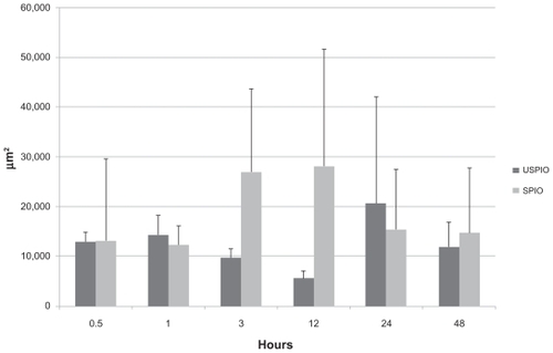 Figure 7 Comparison of distribution of ultrasmall superparamagnetic iron oxide (USPIO) and small superparamagnetic iron oxide (SPIO) in the lymph nodes.Note: P > 0.05 at all time points.