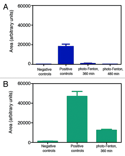 Figure 6. Surface protein contamination in groups of wires (n = 8), after densitometric analysis of fluorescence micrographs. (A) Stainless steel, (B) Titanium. Homogenous photocatalytic treatment was performed in the presence of 224 μg mL−1 Fe3+, 500 μg mL−1 h−1 H2O2, and UV-A (pH = 3.5).