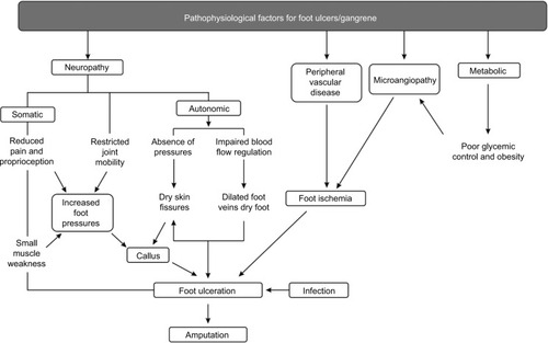 Figure 1 The pathophysiological pathways of dry gangrene