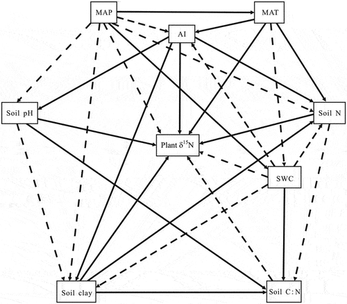 Figure 1. Conceptual framework of the climatic and edaphic factors influencing plant δ15N. The solid and dashed black arrows indicate positive and negative effects, respectively.